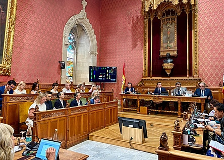Regeln_Dienstwagen_Abstimmung_Consell_de_Mallorca