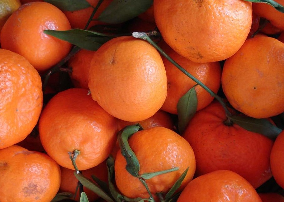 Orangen- und Frühlingsfest auf Mallorca