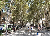 Born_Allee_Touristen_Fotos_Sitzbaenke