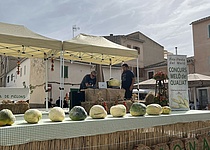 Melonenfest_Vilafranca_de_Bonany_2025_intern