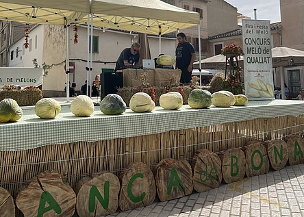 Melonenfest_Vilafranca_de_Bonany_2025_intern