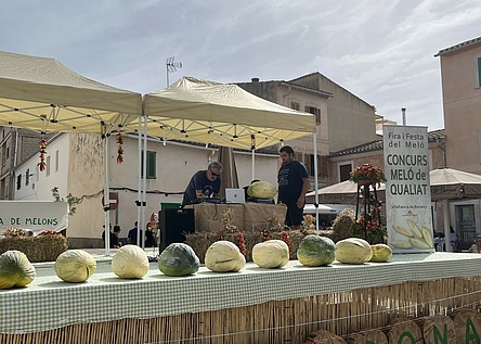 Melonenfest_Vilafranca_de_Bonany_2025_intern