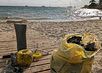 Neta_Meer_saeubern_muell_quelle_neta