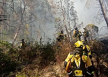 Consell_de_Mallorca_Feuer_Son_Vida_Ibanat