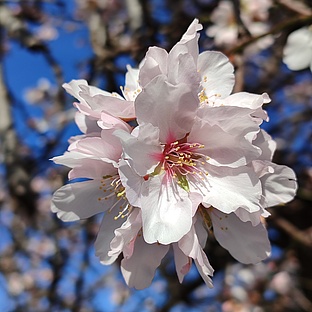 poiImage_3240_1737998188