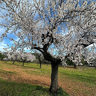 poiImage_3266_1738937885