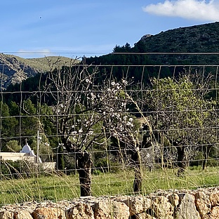 poiImage_8811_1768225246