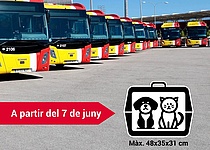 Haustiere_TIB_Busse_Caib
