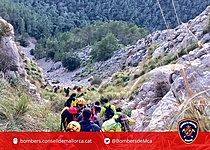 Puig_Tomir_Rettung_Bombers_de_Mallorca_Twitter