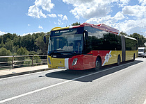 Aerotib_IncaAlcudia_Caib