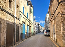 Termiten_Arta_Ajuntament_dArta