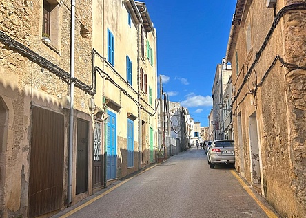 Termiten_Arta_Ajuntament_dArta