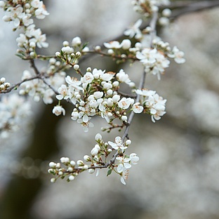 poiImage_673_1642942113