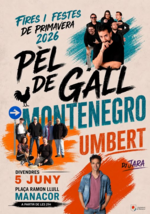 Fira_de_Primavera_Konzert