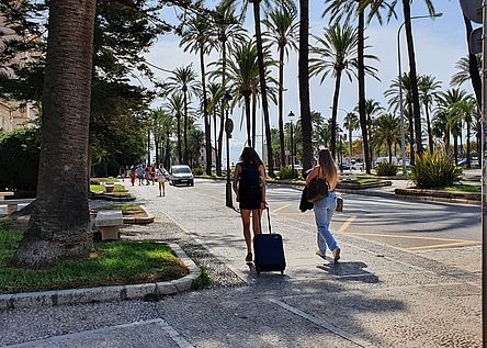 Touristen_Rollkoffer_Reisetasche_Palmen