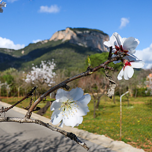 poiImage_3205_1737790447