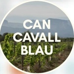 Bild_Can_Cavall_blau_facebook