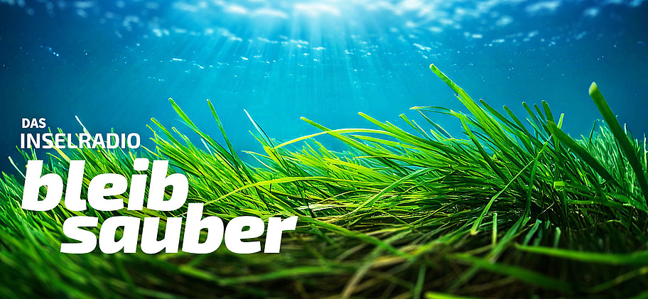 header_bleibsauber_24