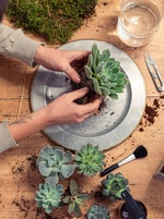 workshop_blumen_binden