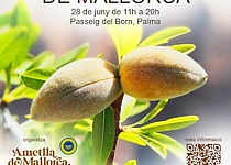 Mandelmesse_Palma_ajuntament_Mandel