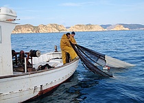 Fischer_caib_boot