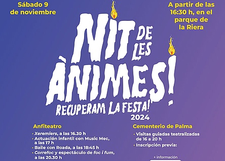 cartell_nit_animes_Palma_ajuntament