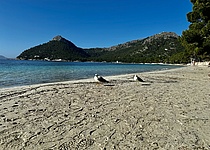 Foto_Playa_Formentor__Foto_von_Lena_Bernauer