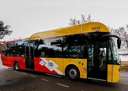 TIB_Bus_Caib