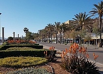 polizei_warnt_vor_zunehmender_kriminalitaet_an_der_playa_de_palma