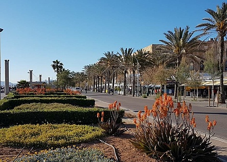 polizei_warnt_vor_zunehmender_kriminalitaet_an_der_playa_de_palma