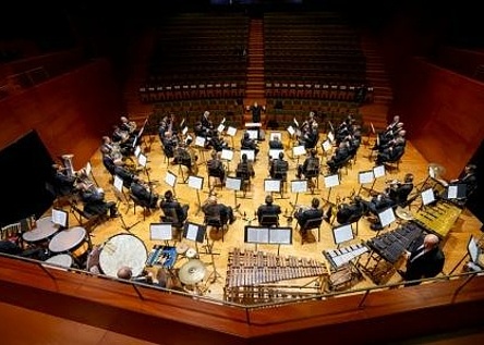 PalmadePrimavera_HomepagePalmaCultura