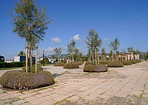 ParcdelaMar2_Ajuntament_de_Palma__1_