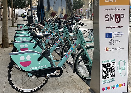 bicipalma_9_16_intern