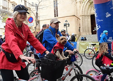 Diada_Ciclista_Palma_ajuntament_Facebook