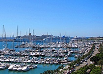 300_kreuzfahrtschiffe_im_sommer_im_hafen_von_palma