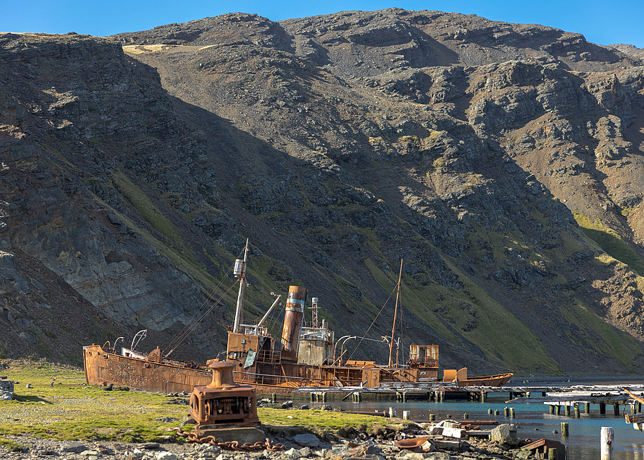 SH_Vega__Grytviken___South_Georgia___Cape_to_Cape___14_03_2023___21