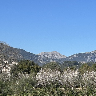 poiImage_8835_1772033839