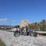 Bild_callandridemallorca