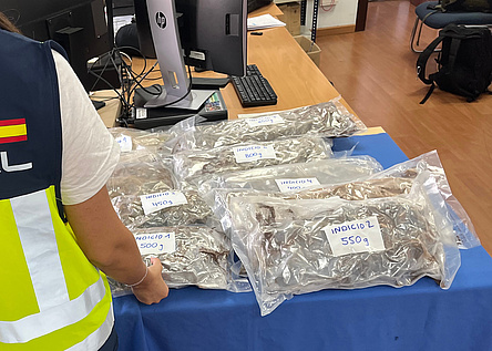 Drogenfund_Hafen_Palma_Policia_Nacional