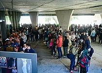 PacLangeSchlangenAuslaenderbehoerde_AjuntamentdePalma