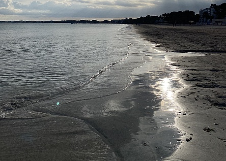 StrandAlcudia_Intern_Maresa
