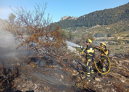 WaldbrandOrient_Agricultura_Goib