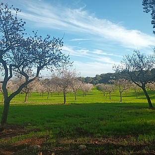 poiImage_8816_1770060957