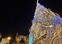 Weihnachtsbeleuchtung__19_