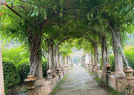 Jardins_de_Alfabia_intern_Maresa__2_