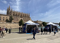 MarktParcdelMar_InternMaresa