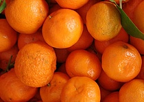 orangenfest_in_soller_in_den_startloechern