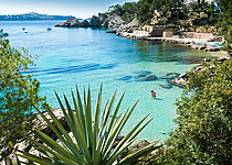 Cala_Fornells__Paguera__Calvia