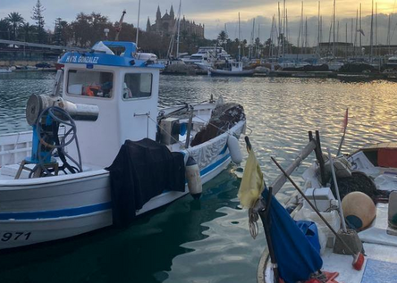 Langusten_fischerboot_fischfang_fischen_CAIB