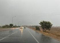 Regen_Palma_strasse_nass_Katrin
